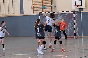 Ein fast perfektes Handballwochenende