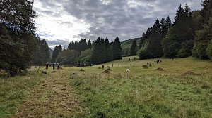 Pflegeeinsatz auf der Wiese