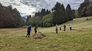 Pflegeeinsatz auf der Wiese