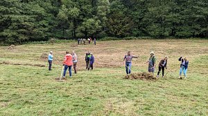 Pflegeeinsatz auf der Wiese