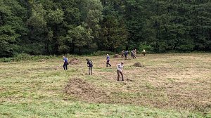 Pflegeeinsatz auf der Wiese