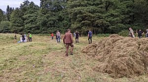 Pflegeeinsatz auf der Wiese