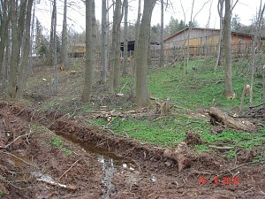 Spuren im Wald