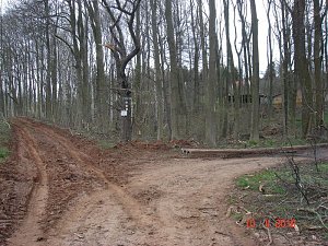 Spuren im Wald