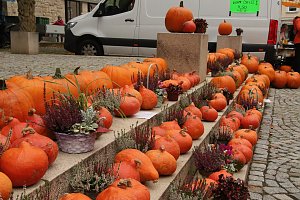 K&uuml;rbismarkt in Nordhausen
