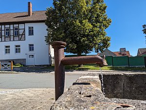 Freundlich, offen und mit viel Geschichte: Immenrode