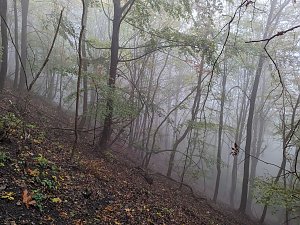 Der Frauenberg-Trai (Sondershausen) ist ein Familienerlebniswanderweg mit sieben verschiedene Erlebnisstationen