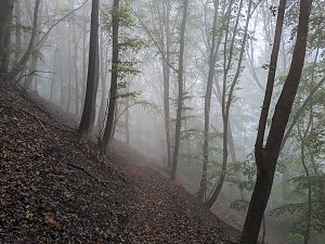 Der Frauenberg-Trai (Sondershausen) ist ein Familienerlebniswanderweg mit sieben verschiedene Erlebnisstationen