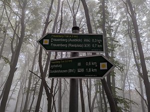 Der Frauenberg-Trai (Sondershausen) ist ein Familienerlebniswanderweg mit sieben verschiedene Erlebnisstationen