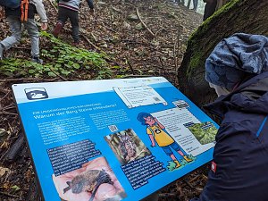 Der Frauenberg-Trai (Sondershausen) ist ein Familienerlebniswanderweg mit sieben verschiedene Erlebnisstationen