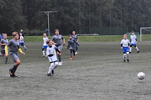 FSV Wacker 90 gg. VfL 1888 Ebeleben