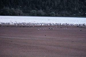 Neuer Aussichtsturm am Stausee Kelbra