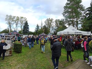 1. Heldrunger Flohmarkt im Naturschwimmbad