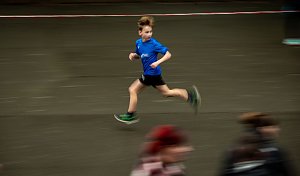 Herbstcrosslauf im Gehege