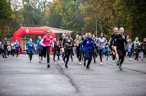 Herbstcrosslauf im Gehege