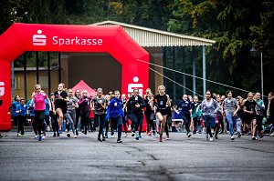 Herbstcrosslauf im Gehege