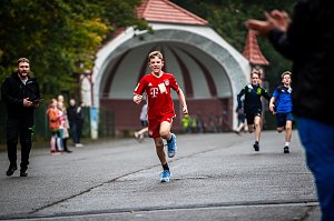 Herbstcrosslauf im Gehege