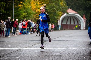 Herbstcrosslauf im Gehege