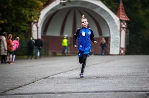 Herbstcrosslauf im Gehege