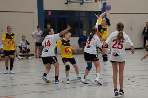 Impressionen vom Handball-Wochenende