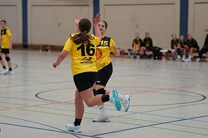 Impressionen vom Handball-Wochenende