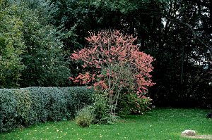 Herbst am Kiesschacht