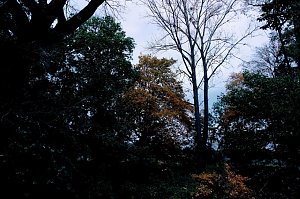Herbst am Kiesschacht