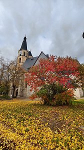 Herbst am Kiesschacht