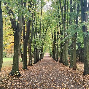 Herbst am Kiesschacht