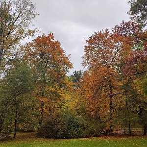 Herbst am Kiesschacht