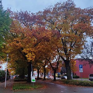 Herbst am Kiesschacht