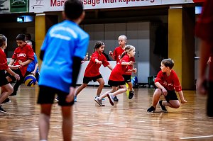 Zweifelderballturnier der Grundschulen