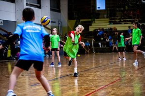Zweifelderballturnier der Grundschulen