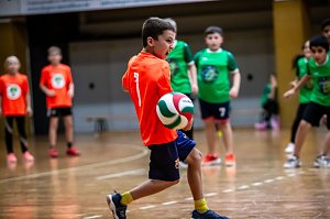 Zweifelderballturnier der Grundschulen