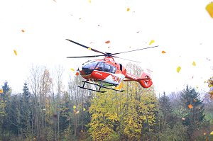 Wohnhausbrand mit Todesopfer in Neustadt