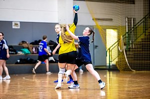 Handballfest in der Ballspielhalle