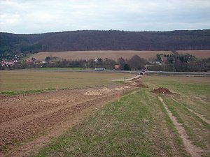 Baumpflanzung Ortsumfahrung
