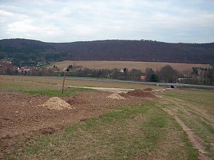 Baumpflanzung Ortsumfahrung