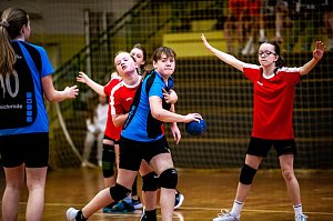 Handballfest in der Ballspielhalle