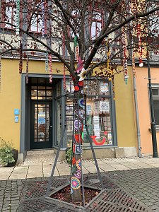 Kunstvolle Wollkreationen schm&uuml;cken die B&auml;ume der Bad Langensalzaer Altstadt