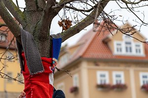 "Verflixt & Zugebommelt!" in der Bad Langensalzaer Innenstadt