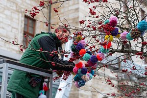 "Verflixt & Zugebommelt!" in der Bad Langensalzaer Innenstadt