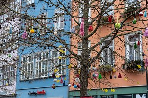 "Verflixt & Zugebommelt!" in der Bad Langensalzaer Innenstadt