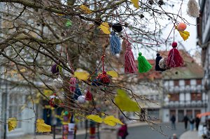 "Verflixt & Zugebommelt!" in der Bad Langensalzaer Innenstadt