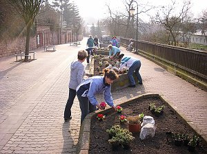 Archivbilder Fr&uuml;hjahrsputz