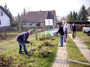 Archivbilder Fr&uuml;hjahrsputz