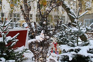 Der Nordh&auml;user Weihnachtsmarkt wurde heute er&ouml;ffnet