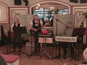 Harzwaldecho im Schnitzelhaus in Bad Sachsa