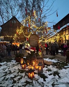 Lichterglanz und Weihnachtsstimmung im winterlichen Kleinberndten