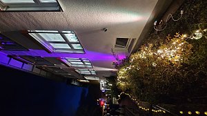 Lichterfest an der Grundschule Petersdorf